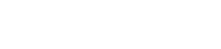 探路人 TANLR